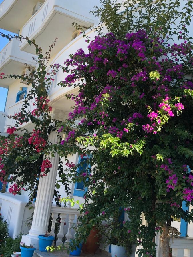 Romantika Shëngjin Exteriér fotografie